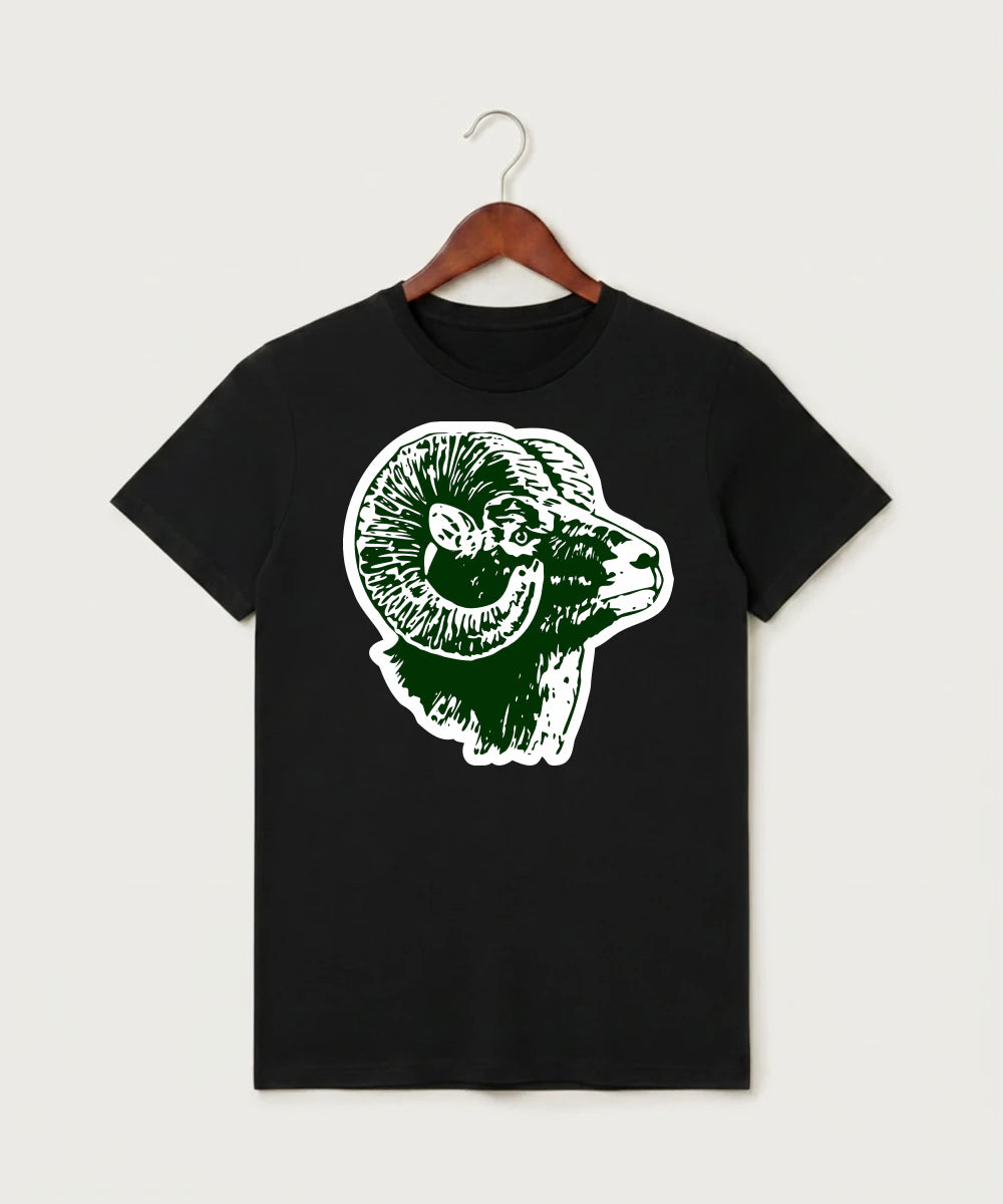 Roseau High School Football (Boys) - Black T-Shirt - Full Front
