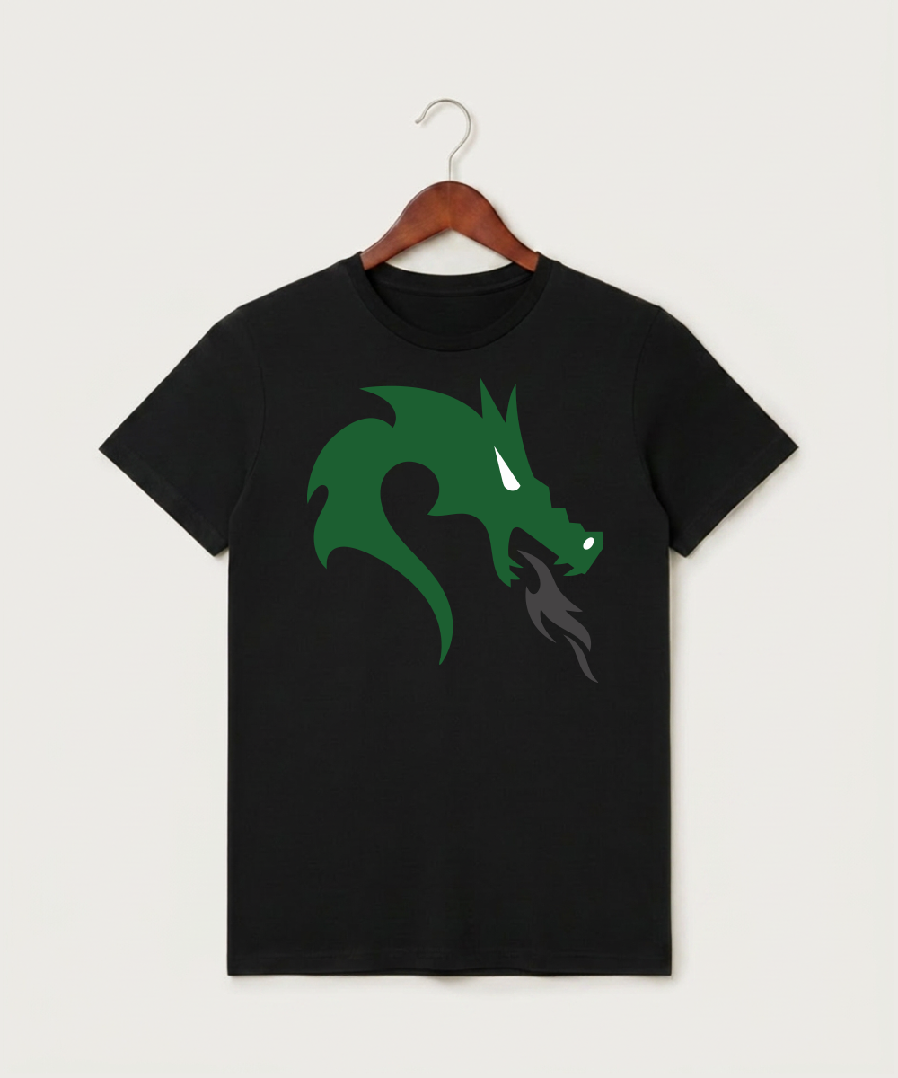 Pine City High School Football (Boys) - Black T-Shirt - Full Front