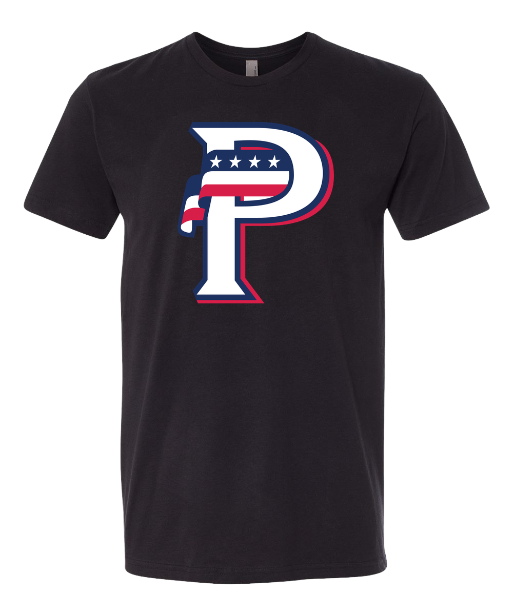 USA BASEBALL - Black T-Shirt - Full Front
