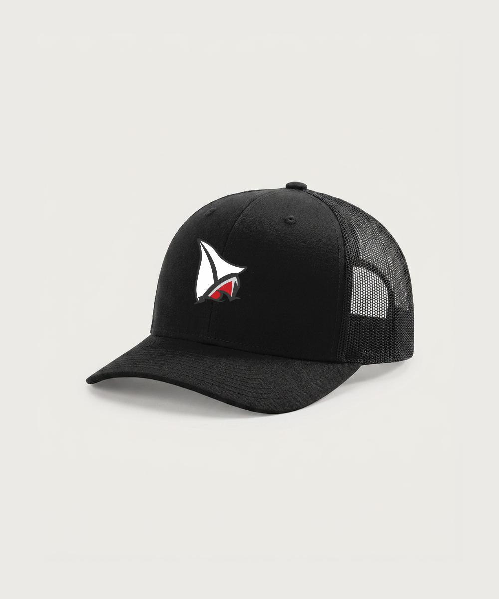 Detroit Lakes Community High School Football (Boys) - Black Hat - Full Front