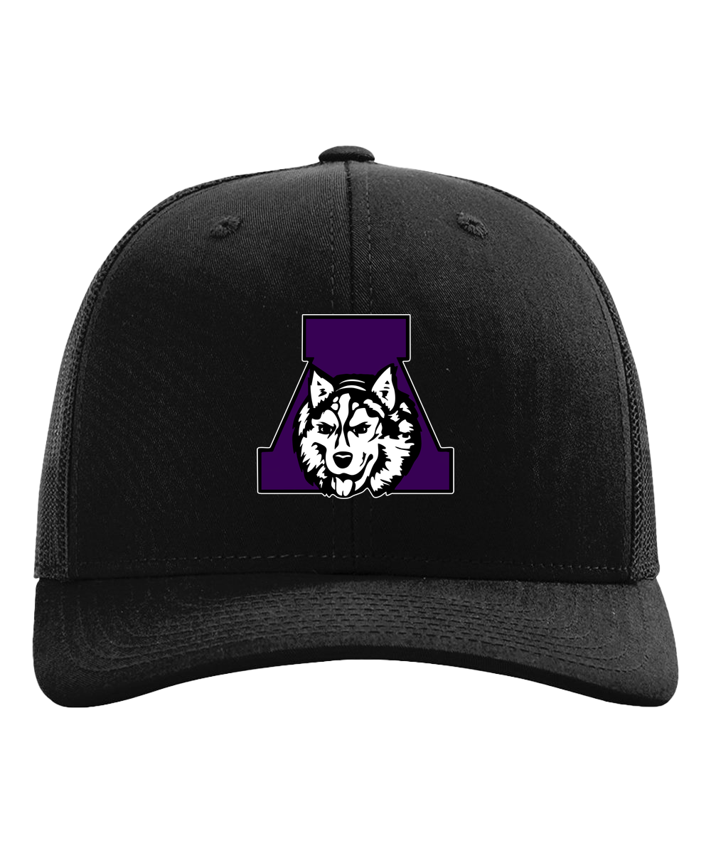 Albany Baseball and Softball - Black Hat - Full Front