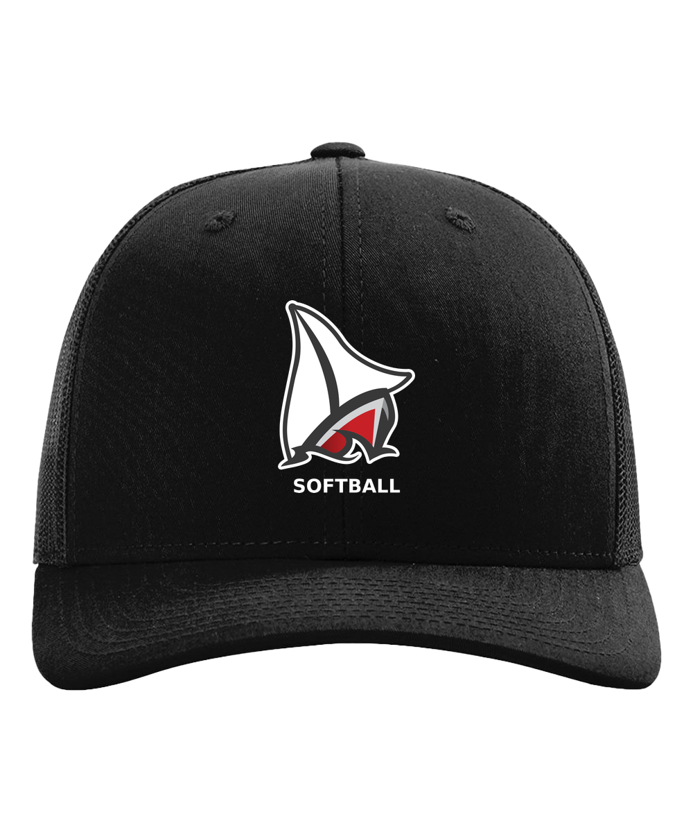 Detroit Lakes Softball - Black Hat - Full Front
