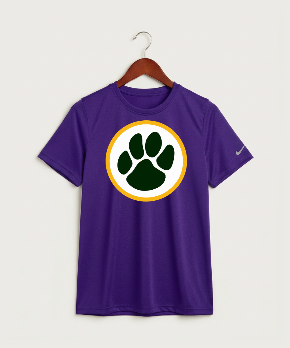 Ashwaubenon High School Football (Boys) - Court Purple Nike Youth Swoosh Sleeve rLegend Tee NKDX8787
