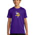 Hayfield Volleyball - Court Purple Nike Youth Swoosh Sleeve rLegend Tee NKDX8787
