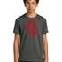 ACGE Football - Dark Smoke Heather Nike Youth Swoosh Sleeve rLegend Tee NKDX8787