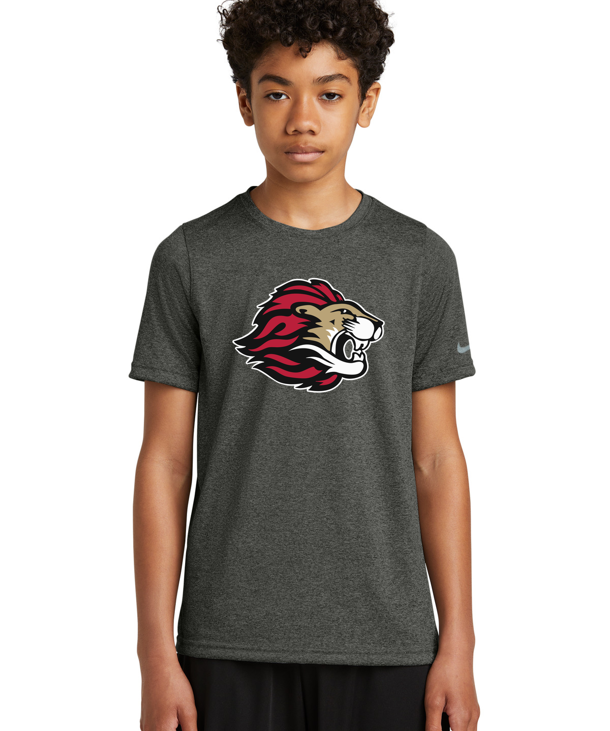 Spring Grove Football - Dark Smoke Heather Nike Youth Swoosh Sleeve rLegend Tee NKDX8787