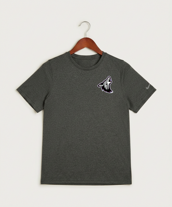 Heron Lake-Okabena High School Football (Boys) - Dark Smoke Heather Nike Youth Swoosh Sleeve rLegend Tee NKDX8787