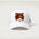 Browerville Public High School Athletics Coed - Flag White/ White New Era - Stretch Mesh Cap. NE1020