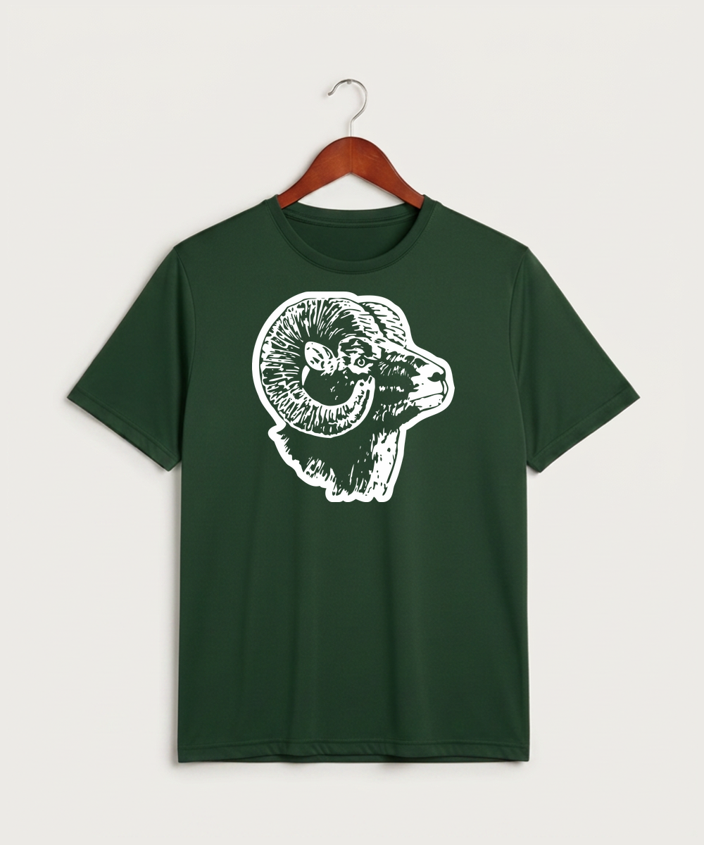 Roseau High School Football (Boys) - Forest Green Sport-Tek PosiCharge Competitor Tee. ST350