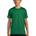 La Crescent-Hokah Football - Gorge Green Nike Youth Swoosh Sleeve rLegend Tee NKDX8787