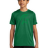 La Crescent-Hokah Football - Gorge Green Nike Youth Swoosh Sleeve rLegend Tee NKDX8787