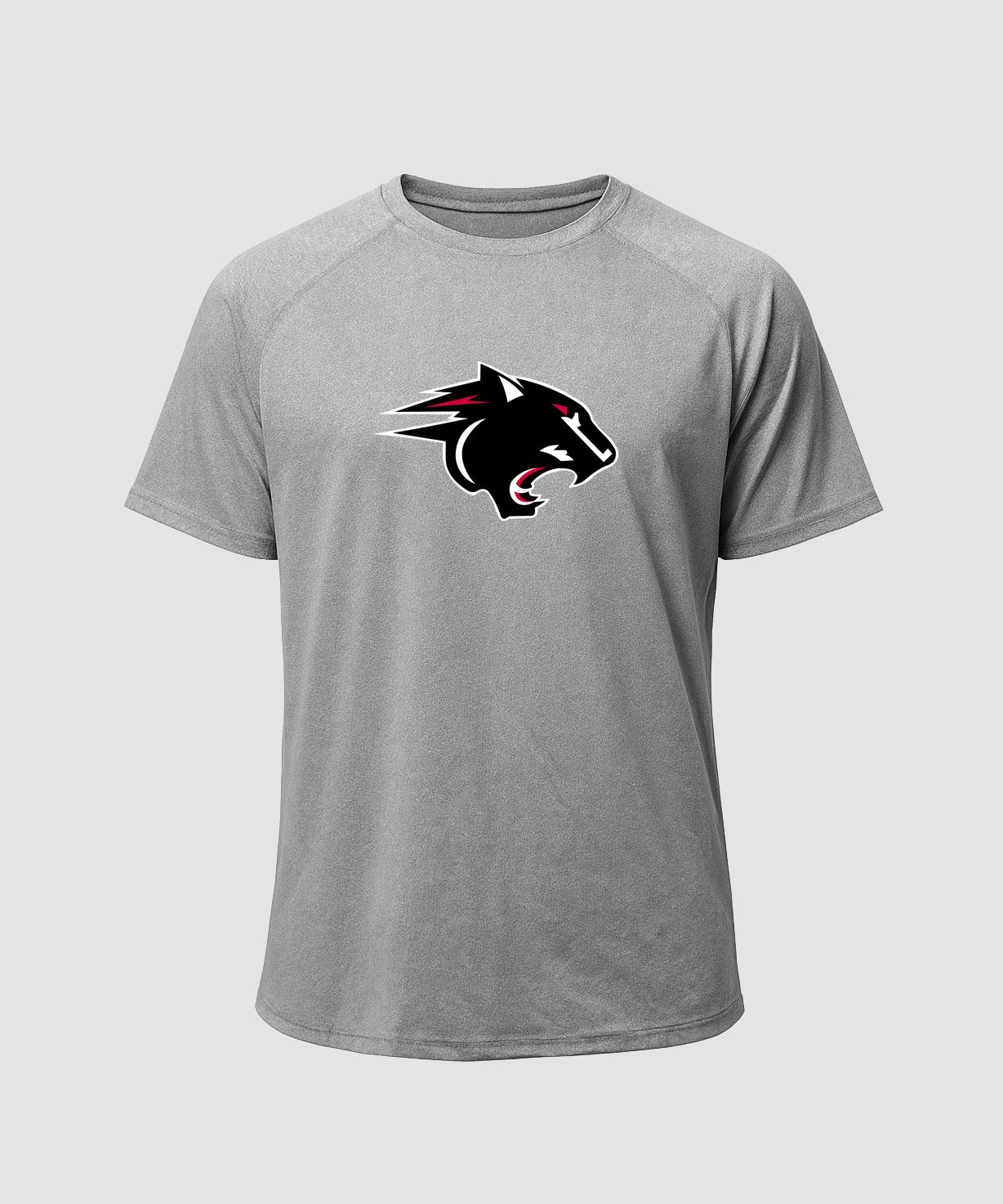 NRHEG Football - Gray Tee - Full Front