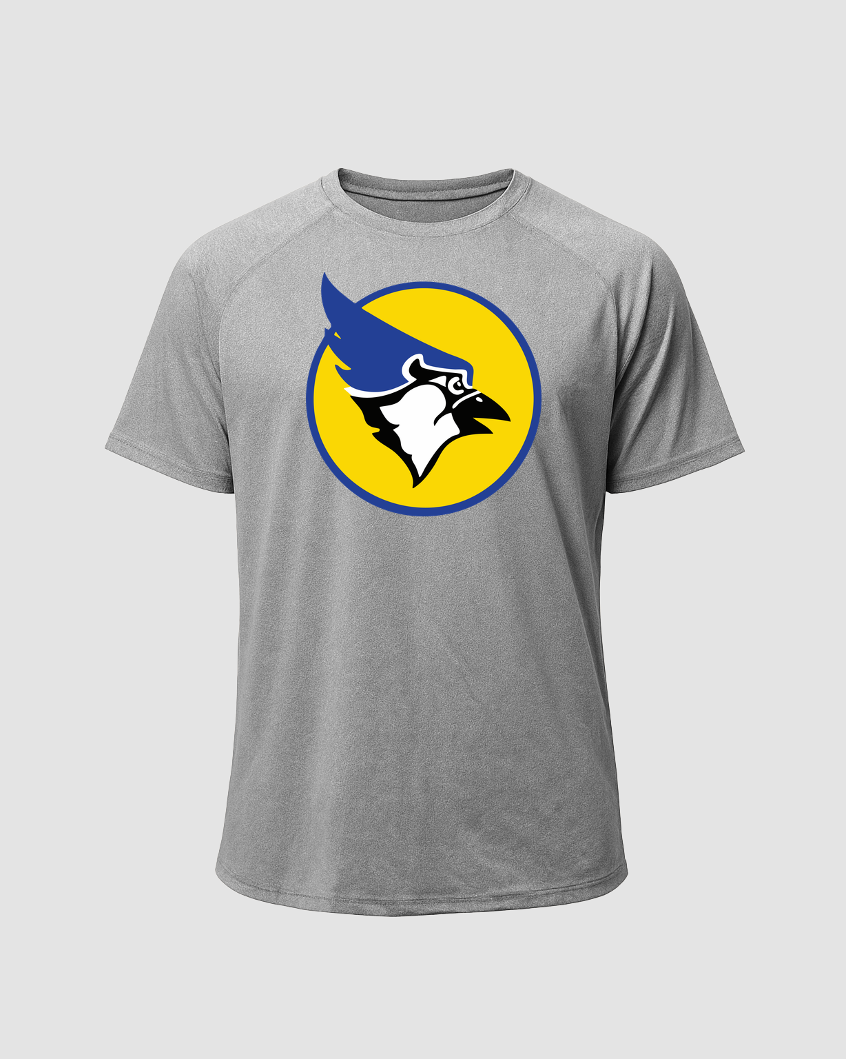 Waseca Football - Gray Tee - Full Front