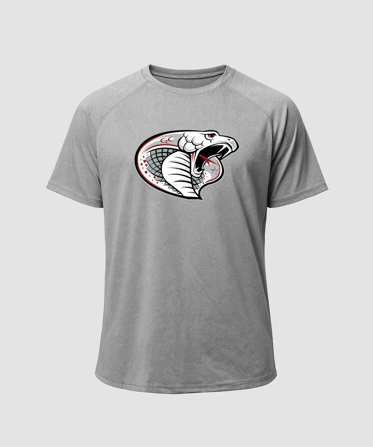 Triton Volleyball - Gray Tee - Full Front