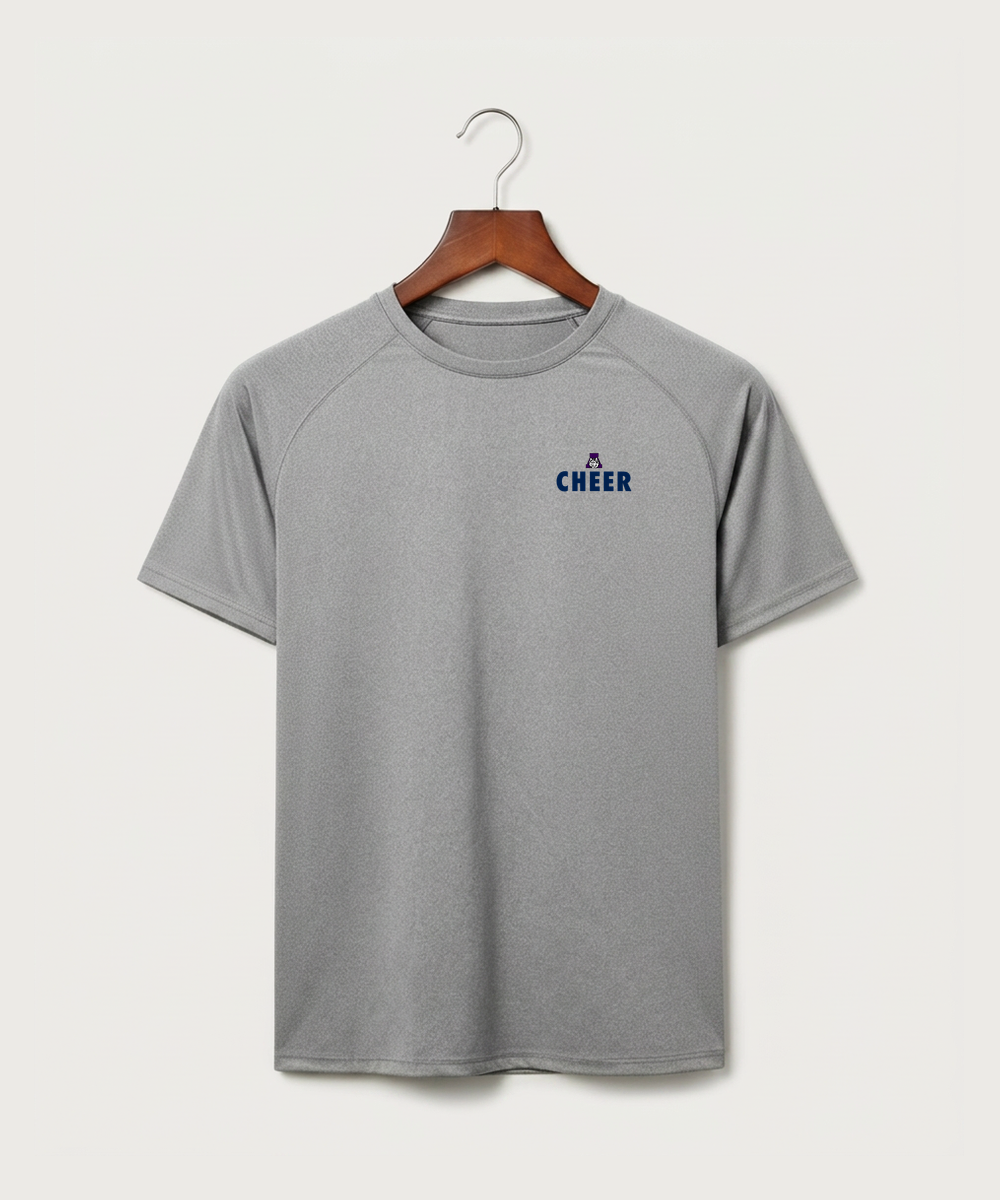 Albany High School Cheerleading - Gray Tee - Left Chest