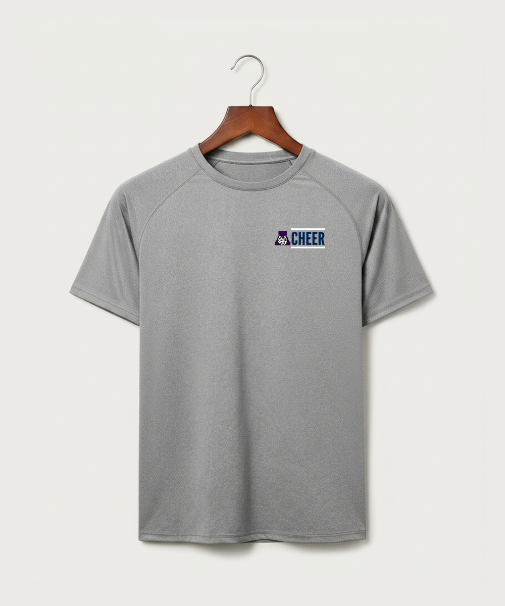 Albany High School Cheerleading - Gray Tee - Left Chest