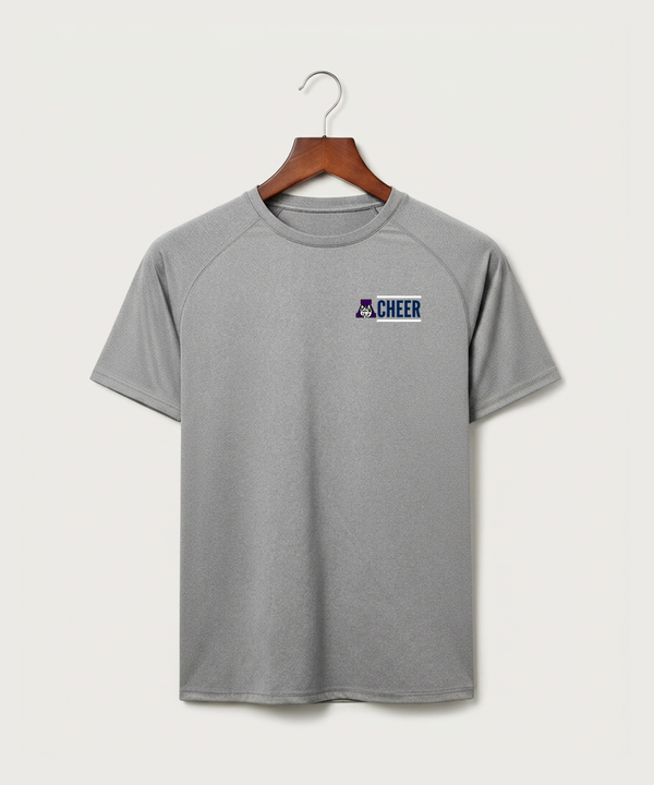 Albany High School Cheerleading - Gray Tee - Left Chest