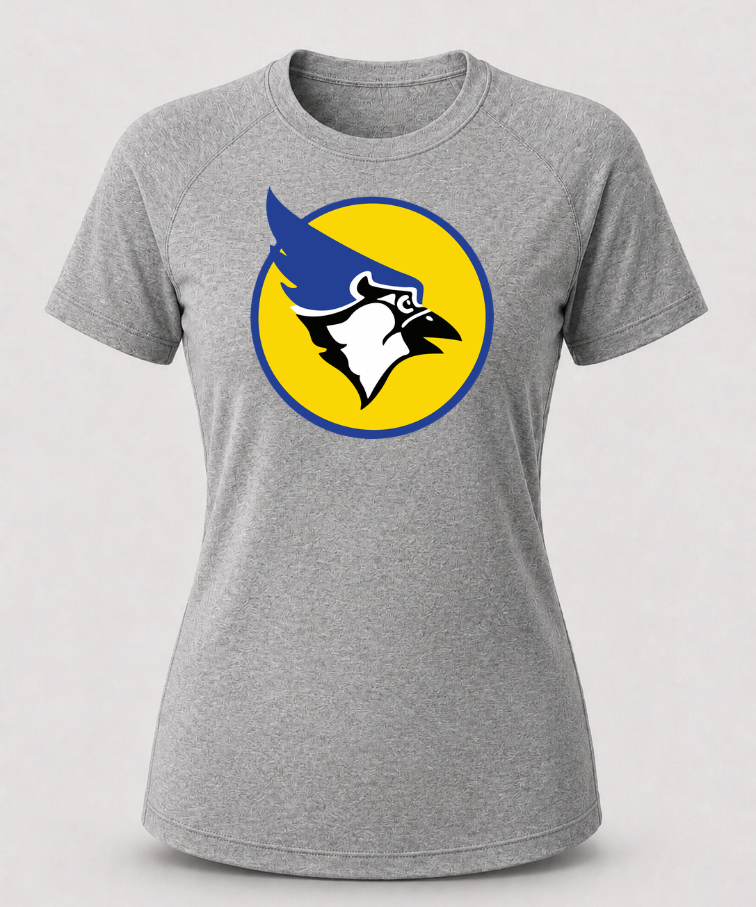 Waseca Football - Gray Tee - Full Front