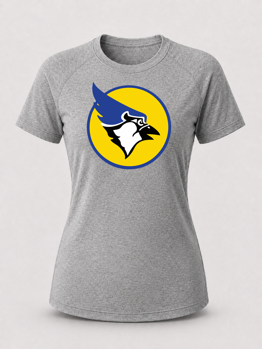 Waseca Football - Gray Tee - Full Front
