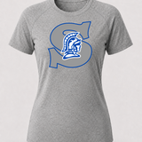 Southwest Football - Gray Tee - Full Front