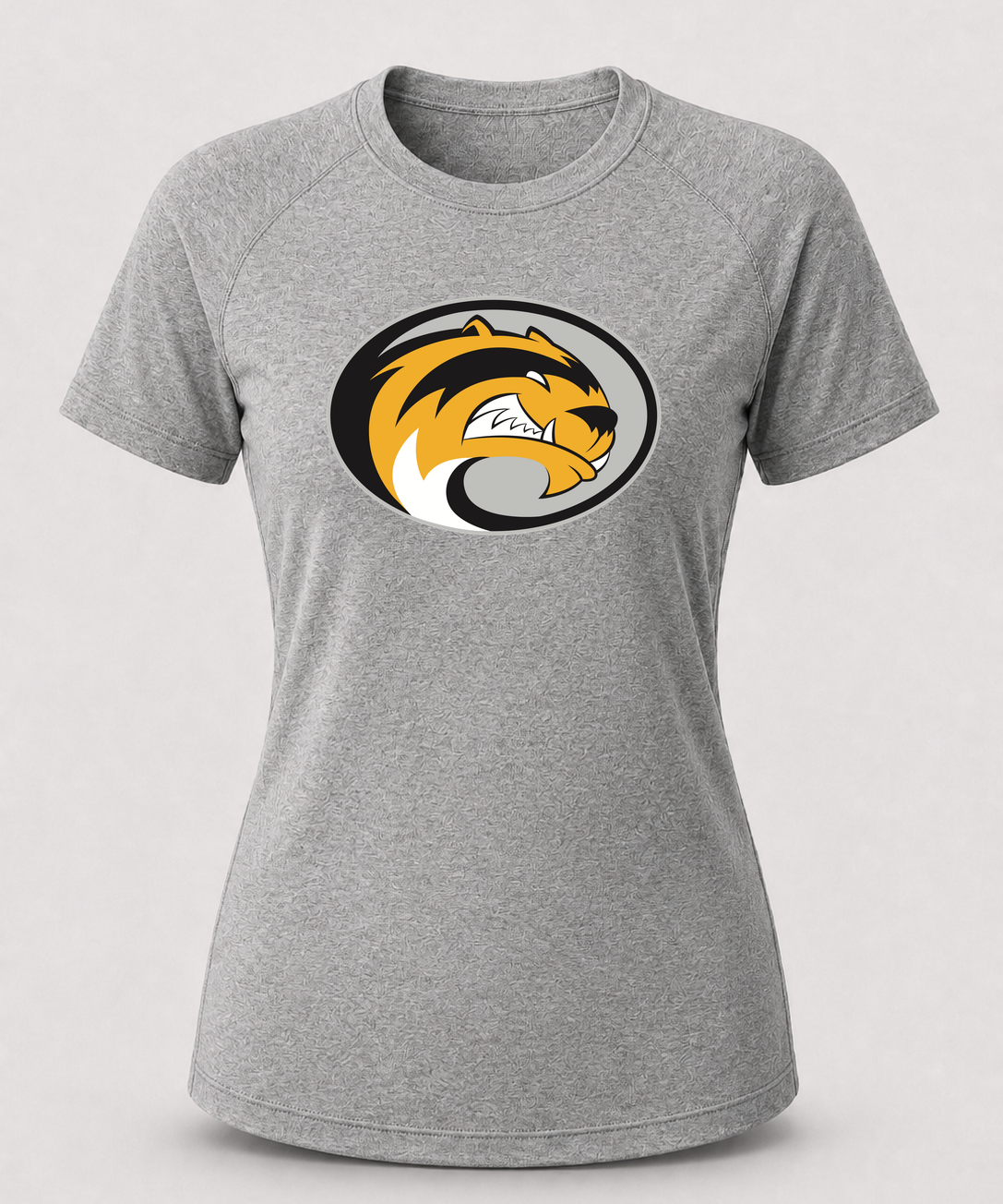 Sibley East Football - Gray Tee - Full Front