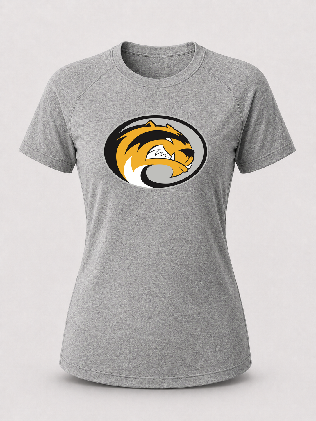 Sibley East Football - Gray Tee - Full Front