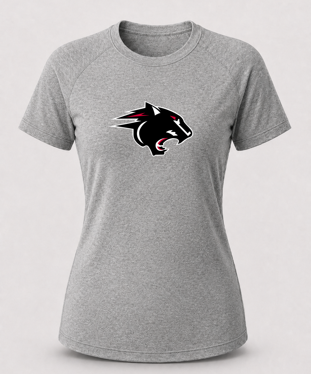 NRHEG Football - Gray Tee - Full Front