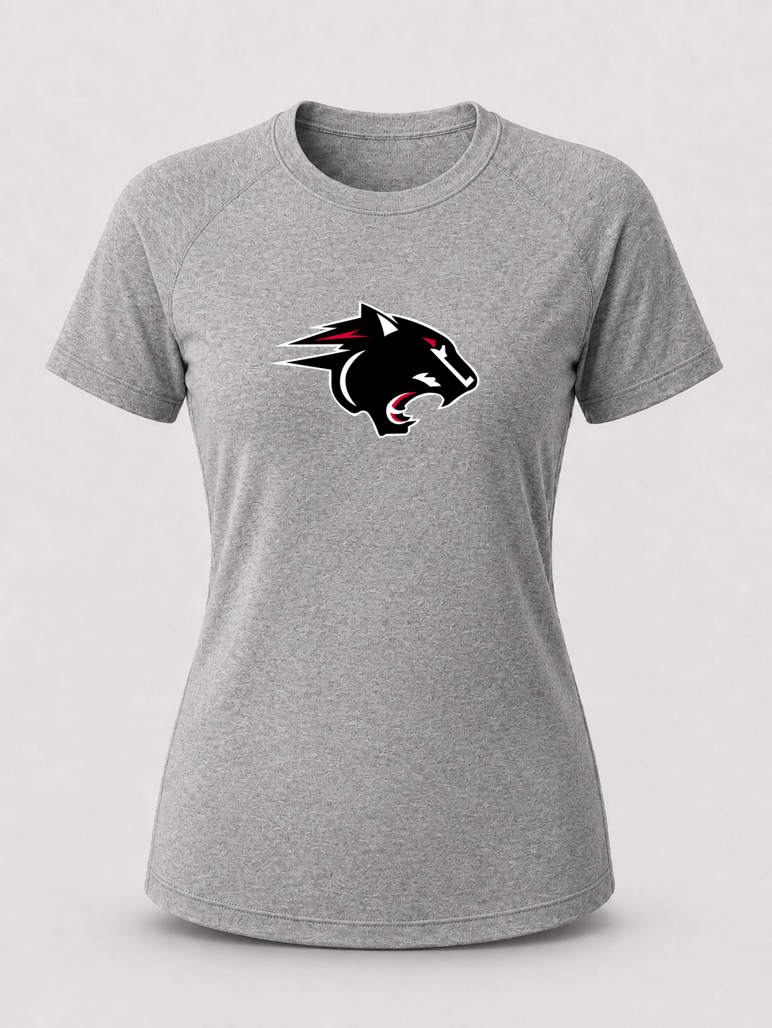NRHEG Football - Gray Tee - Full Front