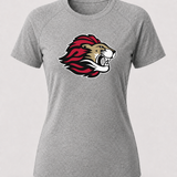 Spring Grove Football - Gray Tee - Full Front