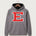 ts-gray-hoodie-gsf101-fc