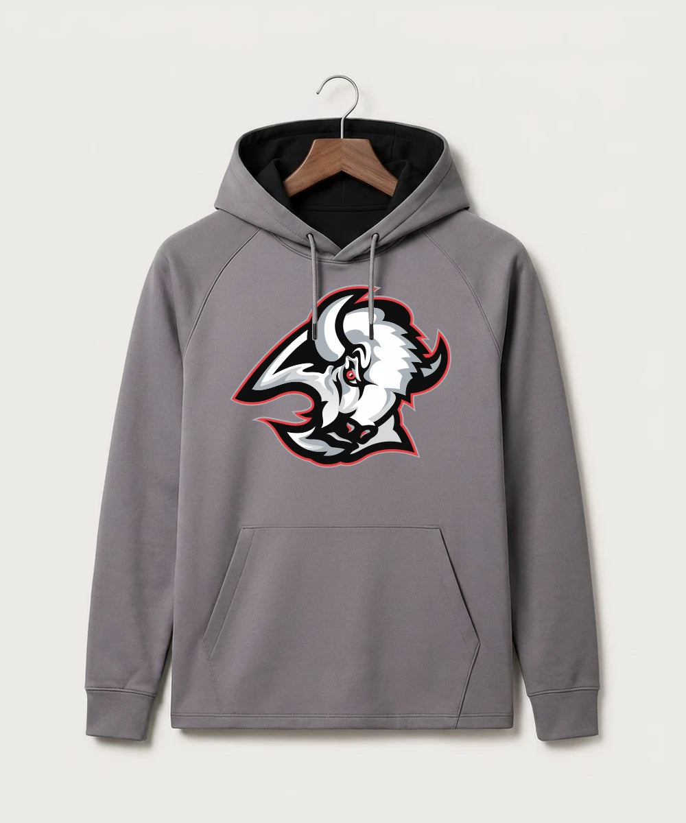 ts-gray-hoodie-gsf101-fc