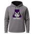 Albany Softball - Gray Hoodie - Full Front