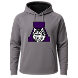 Albany Baseball and Softball - Gray Hoodie - Full Front