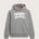 Northeast Range High School Volleyball (Girls) - Ultralux Hoodie