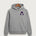 Albany High School Basketball (Boys) - Ultralux Hoodie