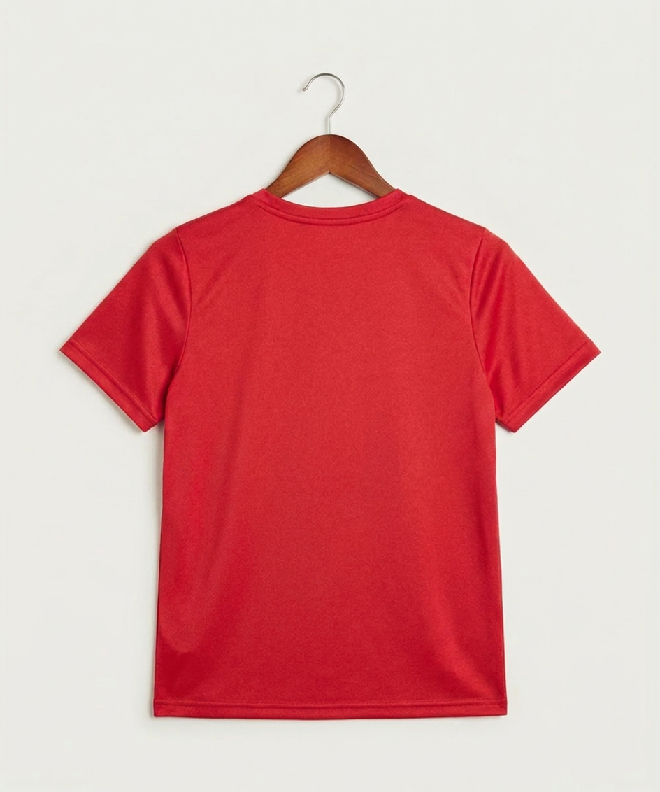 Spring Grove High School Football (Boys) - University Red Nike Youth Swoosh Sleeve rLegend Tee NKDX8787 (back)