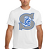 Southwest Football - White Nike Swoosh Sleeve rLegend Tee NKDX8730