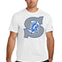 Southwest Football - White Nike Swoosh Sleeve rLegend Tee NKDX8730