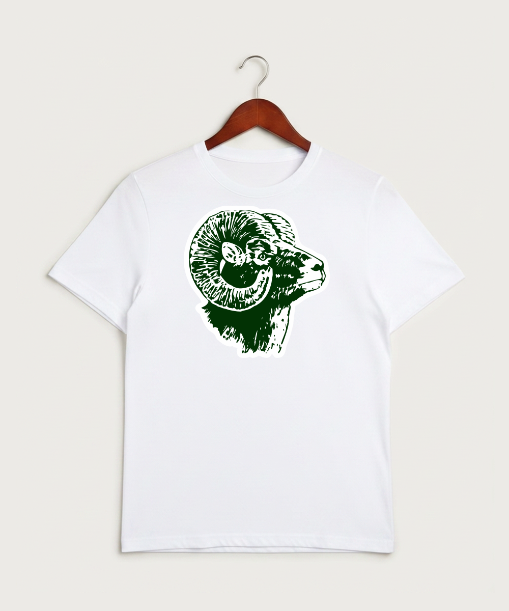 Roseau High School Football (Boys) - White Sport-Tek PosiCharge Competitor Tee. ST350